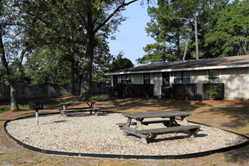 Picnic and bbq area at Davis Gardens.